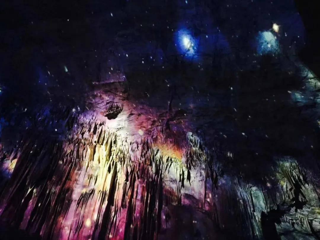空中致富果 “莓”红映春节