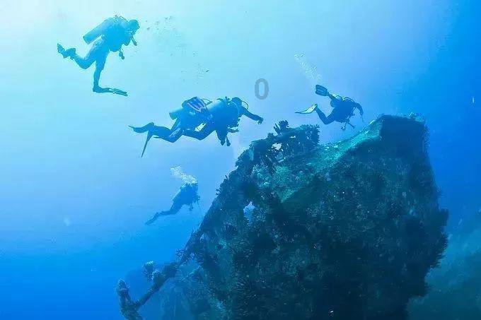 了解加盟爱米鱼多少钱?平台,解锁知识星球的无限魅力